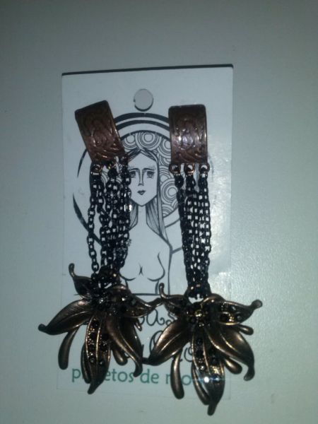 Brincos Bronze